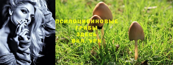 MDMA Premium VHQ Новодвинск