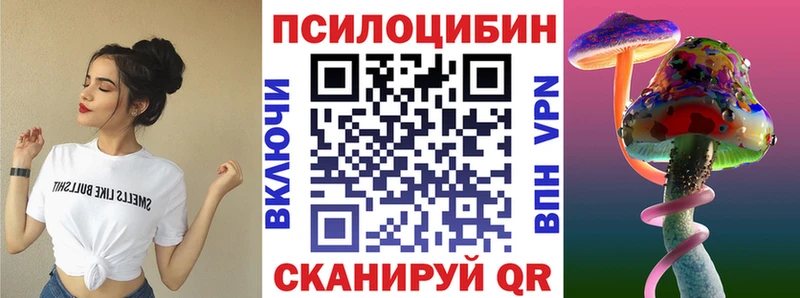Псилоцибиновые грибы Cubensis  Купить  Дальнегорск 